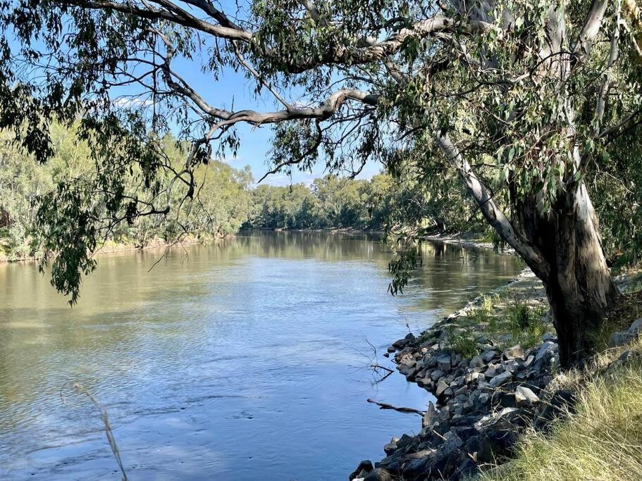 “Riverbank Retreat” Central Unit On The River Wagga Wagga Zewnętrze zdjęcie